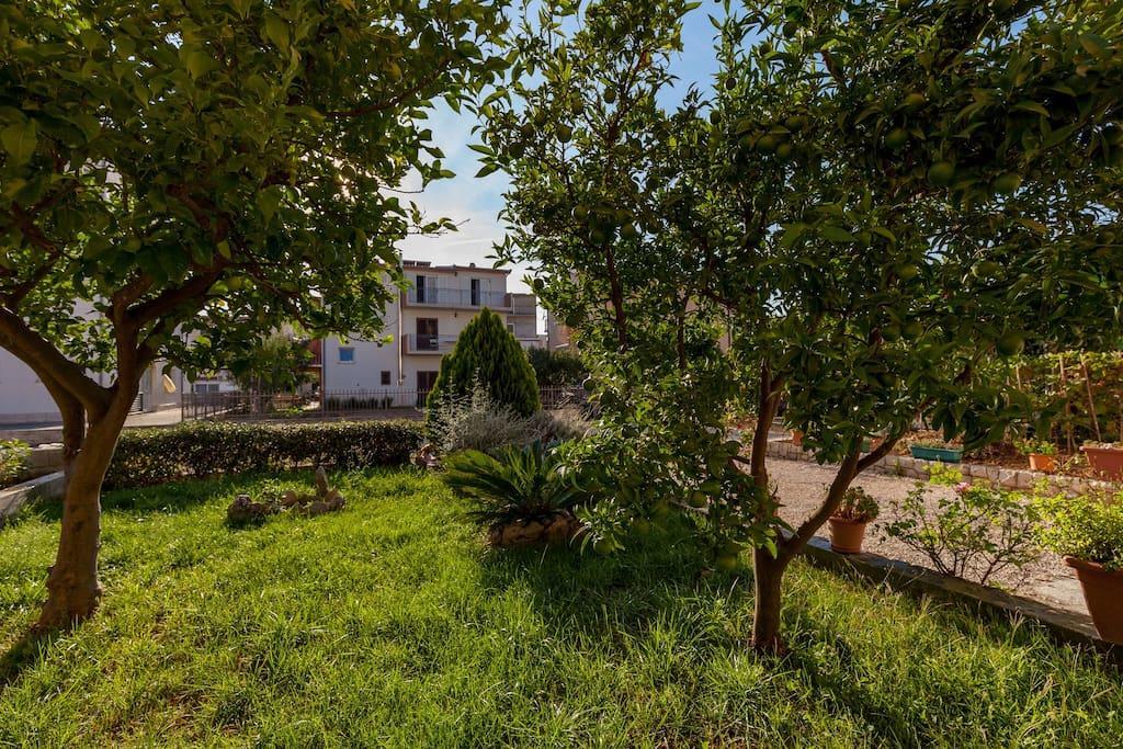 Apartmani Sanja Suta Ποντστράνα Εξωτερικό φωτογραφία