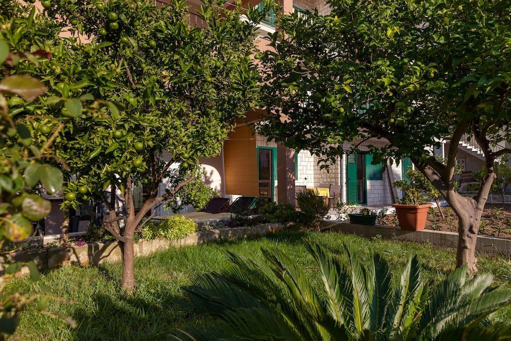 Apartmani Sanja Suta Ποντστράνα Εξωτερικό φωτογραφία